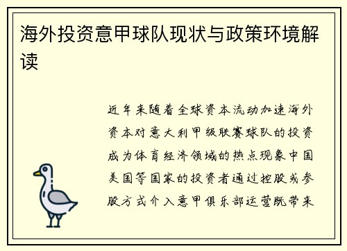 海外投资意甲球队现状与政策环境解读