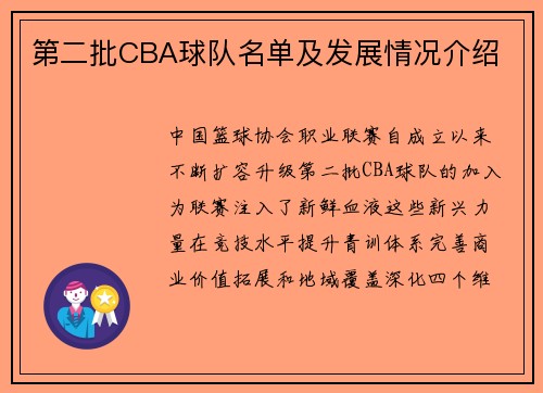 第二批CBA球队名单及发展情况介绍