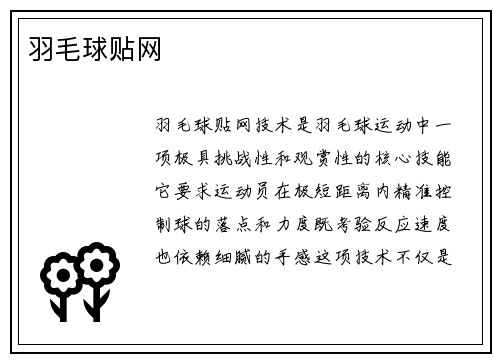 羽毛球贴网